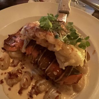 EVO Old Town - Lobster Risotto - Italian Near Me - Scottsdale, Arizona EVO Old Town - Lobster Risotto - Italian Near Me - Scottsdale, Arizona