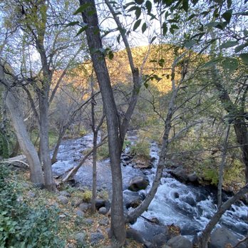 Briar Patch Inn - Creek view from patio - Bed & Breakfast Near Me - Sedona, Arizona