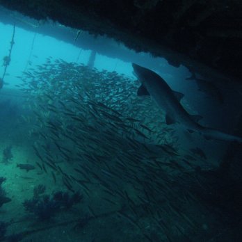 Rum Runner Dive Shop - Dive Shops Near Me - Winterville, North Carolina
