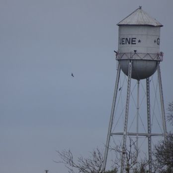 Gruene River Inn - Gruene water tower - Bed & Breakfast Near Me - New Braunfels, Texas Gruene River Inn - Gruene water tower - Bed & Breakfast Near Me - New Braunfels, Texas