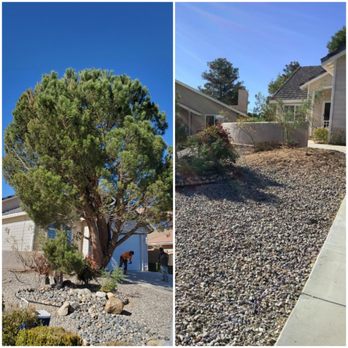 JS Tree Care - Tree Services Near Me - Hesperia, California JS Tree Care - Tree Services Near Me - Hesperia, California