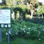 Photo of Grete-Rehor-Park