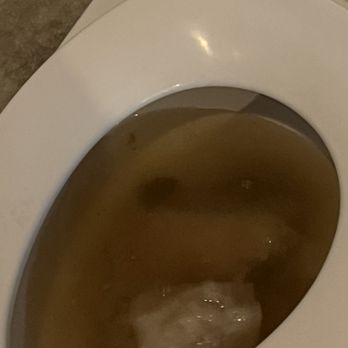 Papaya Playa Hotel - Poor plumbing. Expect clogged toilets. - Restaurants Near Me - Tulum, ROO Papaya Playa Hotel - Poor plumbing. Expect clogged toilets. - Restaurants Near Me - Tulum, ROO