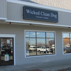 Wicked Clean Dog Mobile