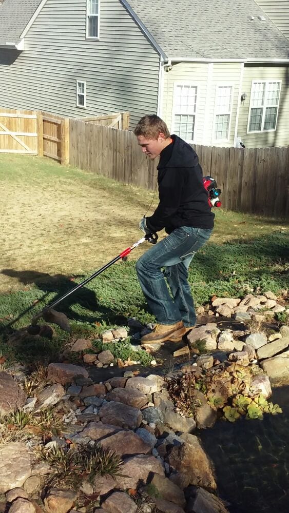 Mike & Mike's Lawn Care Service - tree service in Raleigh, NC