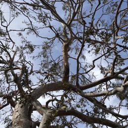 Photo of The Firehouse - Venice, CA, United States