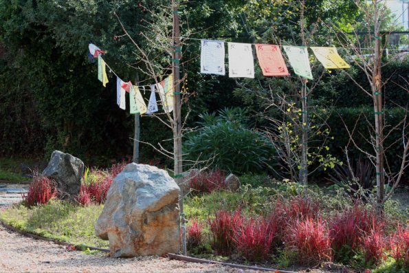 Land of Compassion Buddha by null