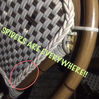Harry Caray's - Spider apocalypse at Harry Carey's at Navy Pier - Sports Bars Near Me - Chicago, Illinois