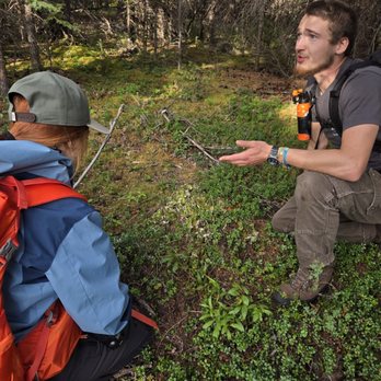 Northern Epics - Learning about edible plants for survival in back country. - Hiking Near Me - Denali National Park, Alaska Northern Epics - Learning about edible plants for survival in back country. - Hiking Near Me - Denali National Park, Alaska