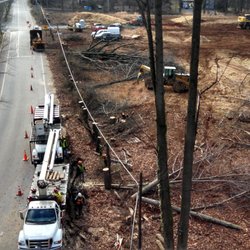 Baltimore Tree Experts - Baltimore Tree Experts on a Clearing Project
