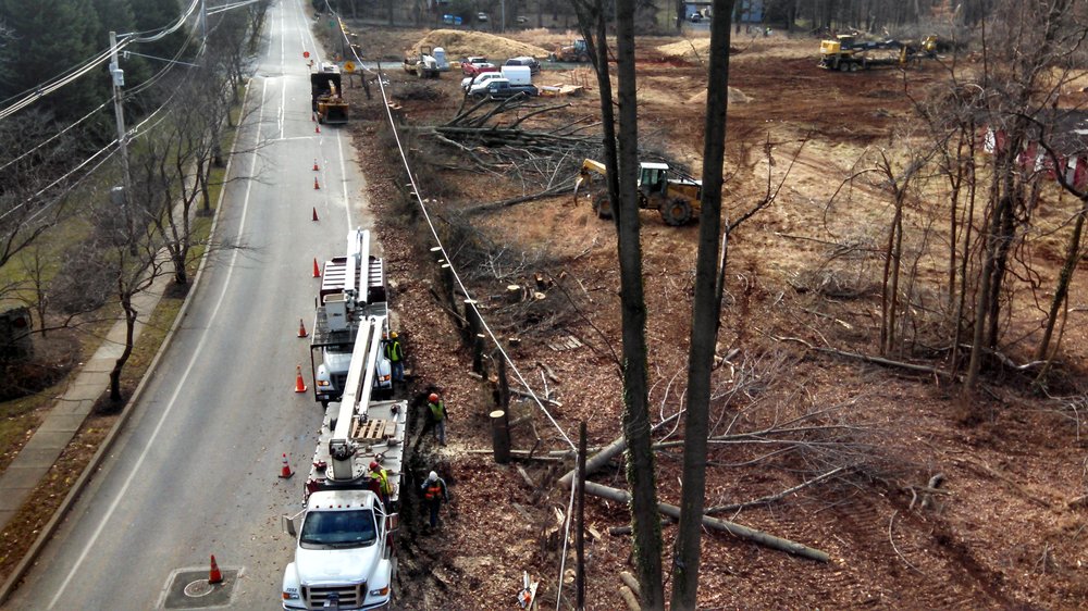 Baltimore Tree Experts - tree service in Baltimore, MD