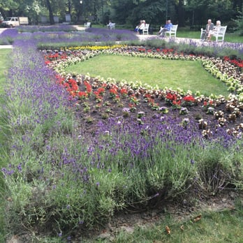 Ogród Saski - Parks Near Me - Lublin, LU