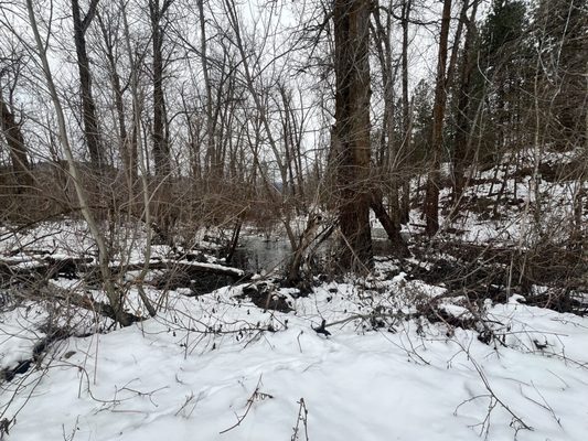 Enchantment Park by null