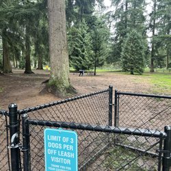 Crossroads Pop Up Dog Park - Large open space with trees