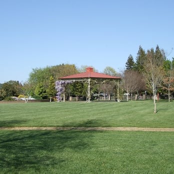 Markham Nature Park & Arboretum - gazebo - Parks Near Me - Concord, California