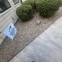 Photo of Airport Road Animal Hospital