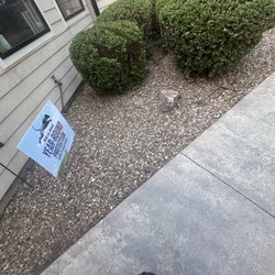 Airport Road Animal Hospital - Front entrance walkway