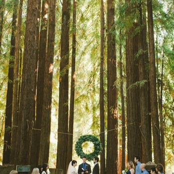YMCA Camp Campbell - Summer Camps Near Me - Boulder Creek, California