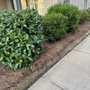 Photo of The Lawn Crew
