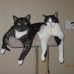 Pac & Prince Pac & Prince