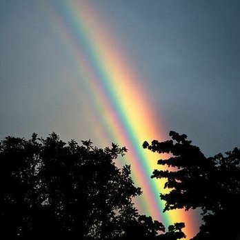 Volcano Inn - The land of rainbows! - Hotels Near Me - Volcano, Hawaii Volcano Inn - The land of rainbows! - Hotels Near Me - Volcano, Hawaii