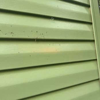JWP Pro Painting - Yellow peekaboo - Painters Near Me JWP Pro Painting - Yellow peekaboo - Painters Near Me