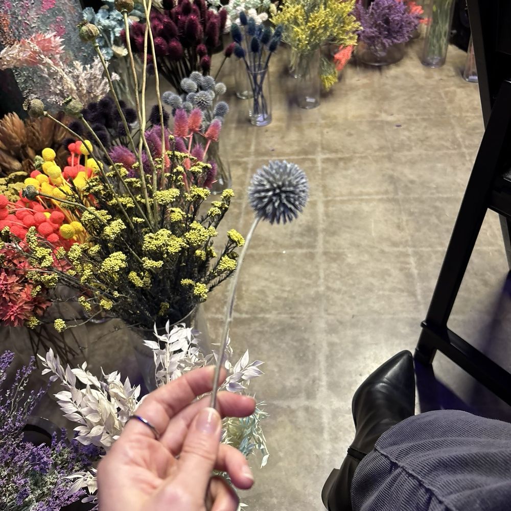 Moonbeam Conservatory - Moonbeam flora! - Art Galleries Near Me - Tulsa, Oklahoma Moonbeam Conservatory - Moonbeam flora! - Art Galleries Near Me - Tulsa, Oklahoma