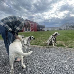 Puppers! Puppers!