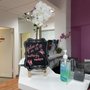 Butterfly Medical Spa