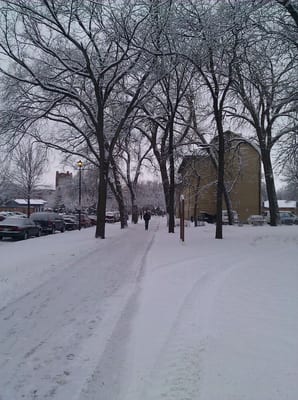 University of North Dakota by null