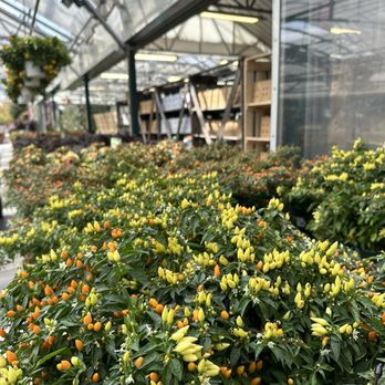 THE FARM AT GREEN VILLAGE - Updated June 2026 - 202 Photos & 59 Reviews ...