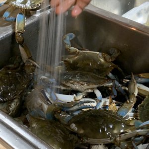 JACKIE’S SEAFOOD MARKET - 66 Photos & 30 Reviews - Seafood Markets