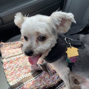 Petco - Sophia loves Bree - Pet Stores Near Me - Washington, Pennsylvania