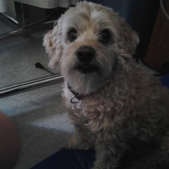 Genesis Senior Living Center - Daisy visiting grandma at Genesis Senior Living Center - Skilled Nursing Near Me - Des Moines, Iowa Genesis Senior Living Center - Daisy visiting grandma at Genesis Senior Living Center - Skilled Nursing Near Me - Des Moines, Iowa