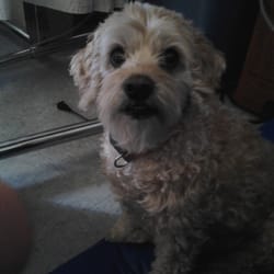 Genesis Senior Living Center - Daisy visiting grandma at Genesis Senior Living Center