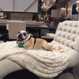 Magoo picked his new chaise