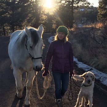 The Canine Effect - Socializing dog to horses and other animals - Dog Walkers Near Me