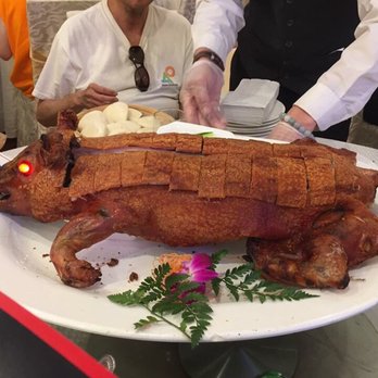 East Buffet & Restaurant - Suckling pig - Buffets Near Me - Flushing, New York East Buffet & Restaurant - Suckling pig - Buffets Near Me - Flushing, New York