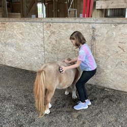 Rusty Bar Ranch