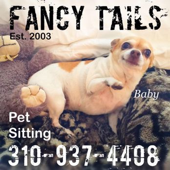Fancy Tails - Dog Walkers Near Me - Hermosa Beach, California