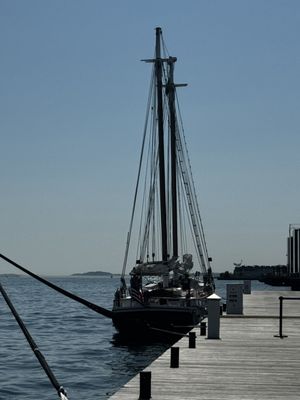Liberty Fleet of Tall Ships Boston by null