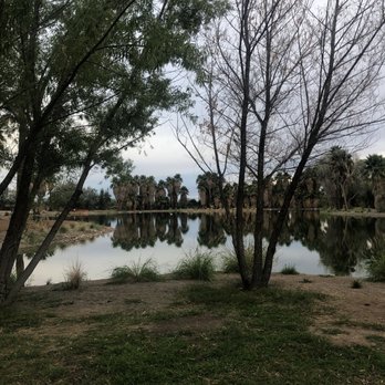 Agua Caliente Park - Parks Near Me - Tucson, Arizona