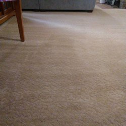 PacePro cleaned old carpet and even got out stinky cat smells! 10 stars!