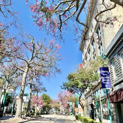 City of Fullerton - Fullerton - 10/21/23
