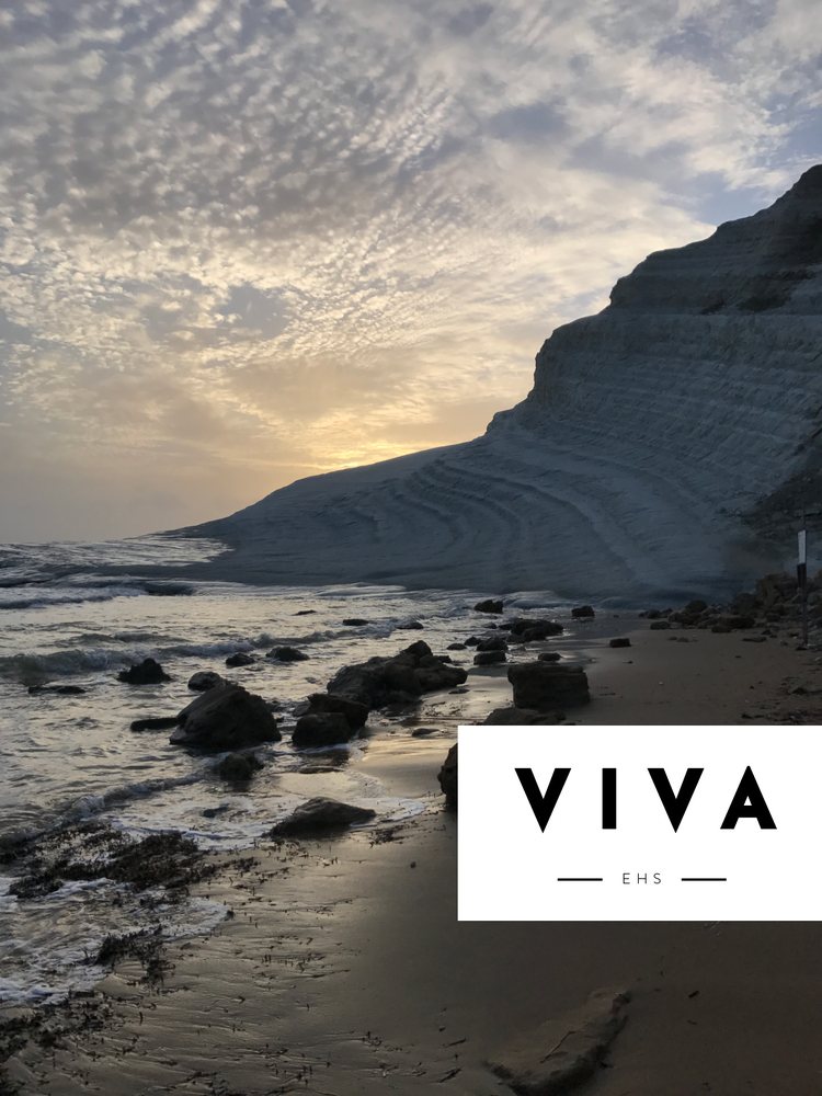 Viva Environmental Health & Safety - mold inspector in Philadelphia, PA