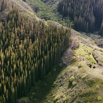 Mauna Loa Helicopter Tours - Aerial Tours Near Me - Honolulu, Hawaii Mauna Loa Helicopter Tours - Aerial Tours Near Me - Honolulu, Hawaii