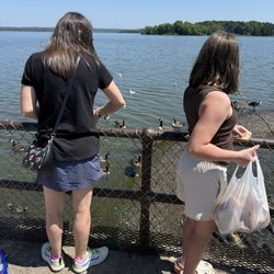 Linesville Spillway - Feed the fish