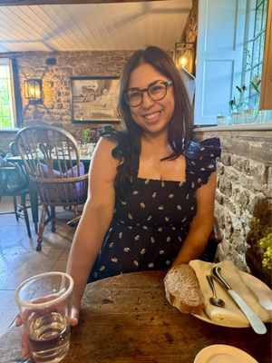 The Wild Rabbit by null