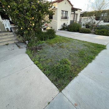 JG Lawn Care - Before front yard - Gardeners Near Me JG Lawn Care - Before front yard - Gardeners Near Me