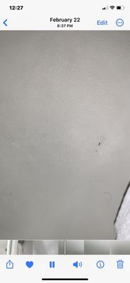 The Plum Tree Inn by null